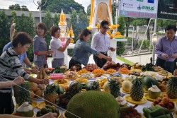 พิธีตั้งศาลพระภูมิ ศาลตายาย...