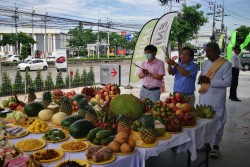 พิธีตั้งศาลพระภูมิ ศาลตายาย...